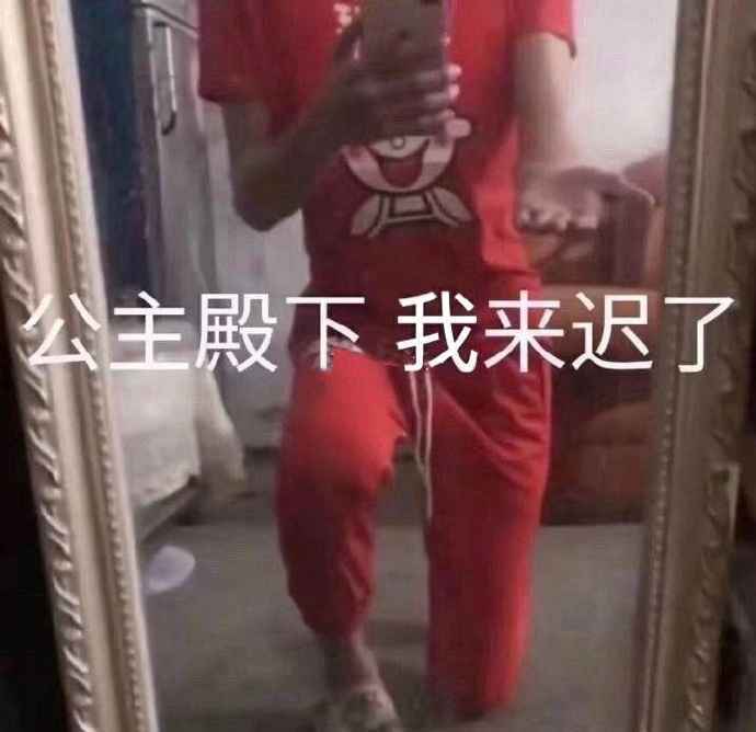 搞笑公主殿下 我来迟了