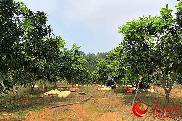 就业引领湖南邵阳为贫困残疾人打通“最稳”脱贫路