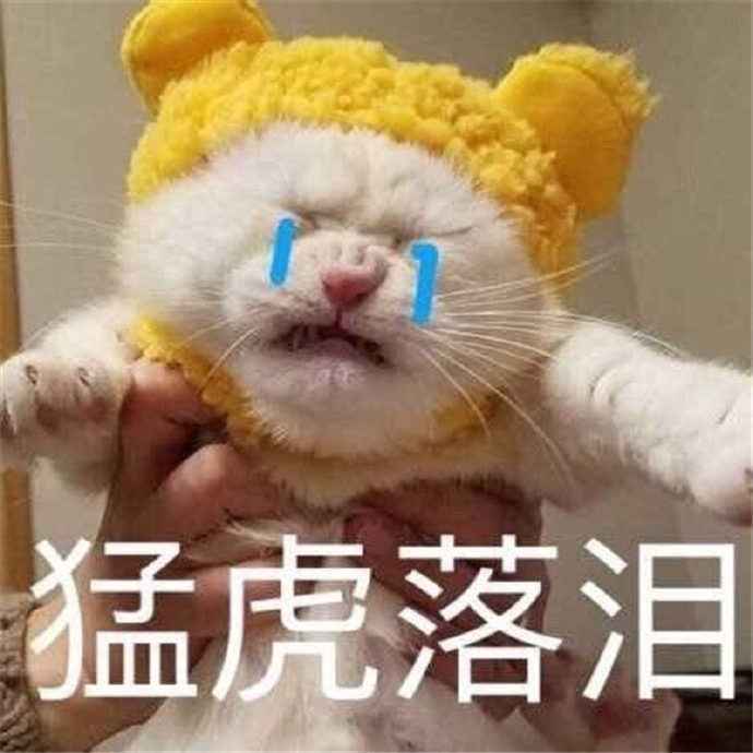 搞笑猛虎落泪