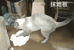 搞笑GIF