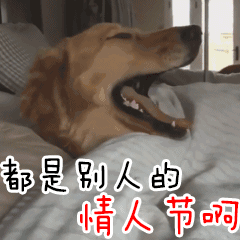 搞笑GIF