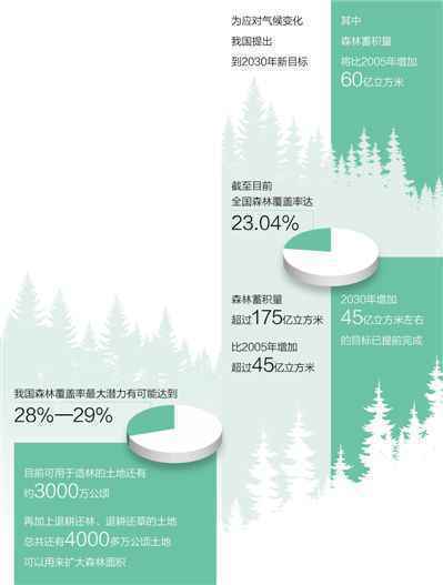 实现碳中和森林作用大（美丽中国·降碳减排在行动①）